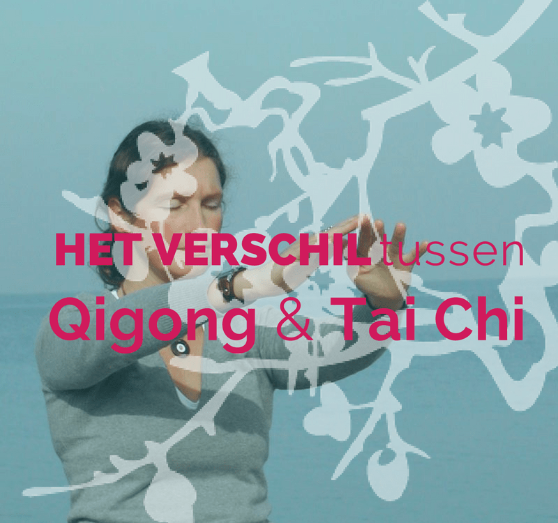 Het verschil tussen Qigong en Tai Chi