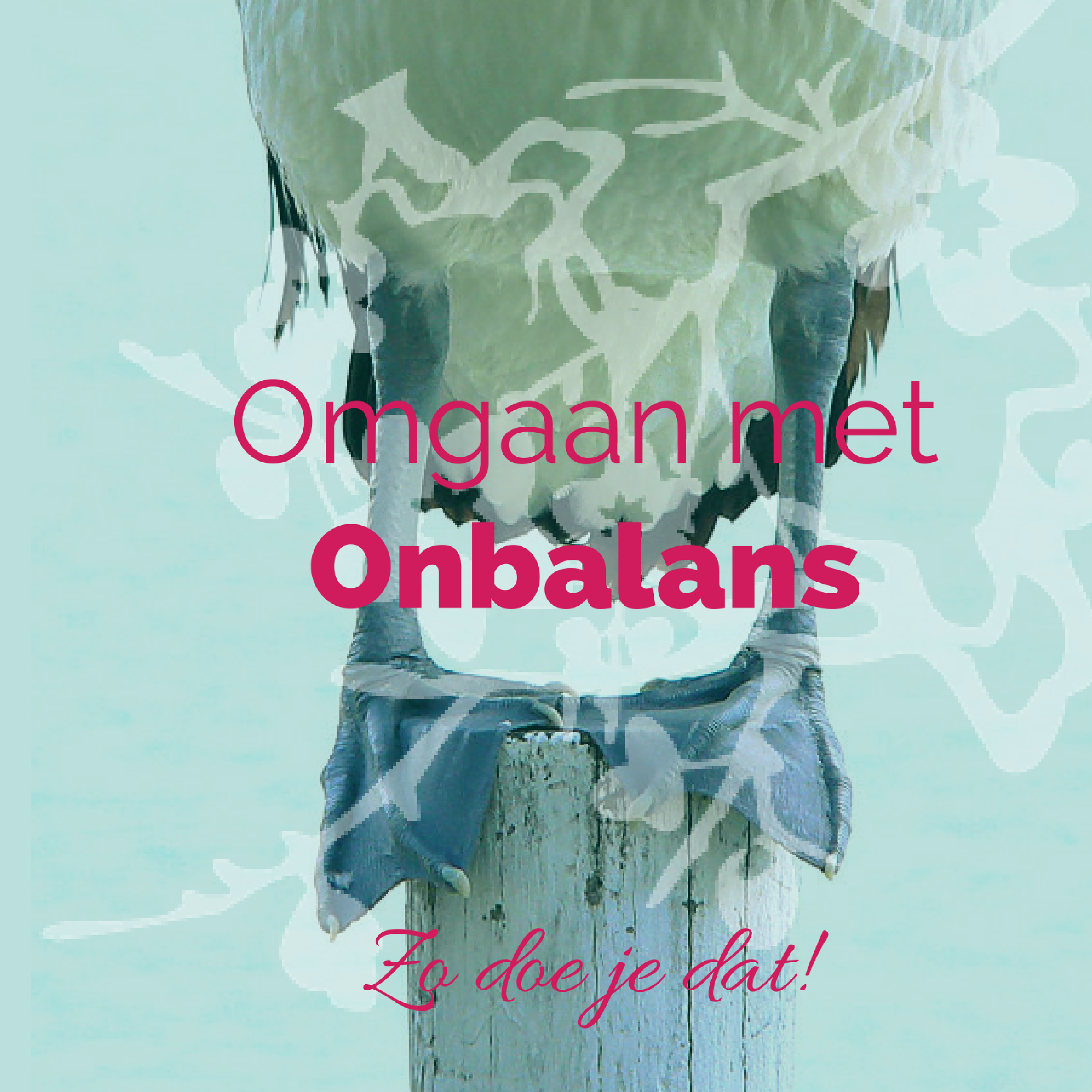 Omgaan met onbalans