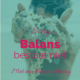 Balans bestaat niet