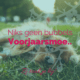 Voorjaarsmoeheid