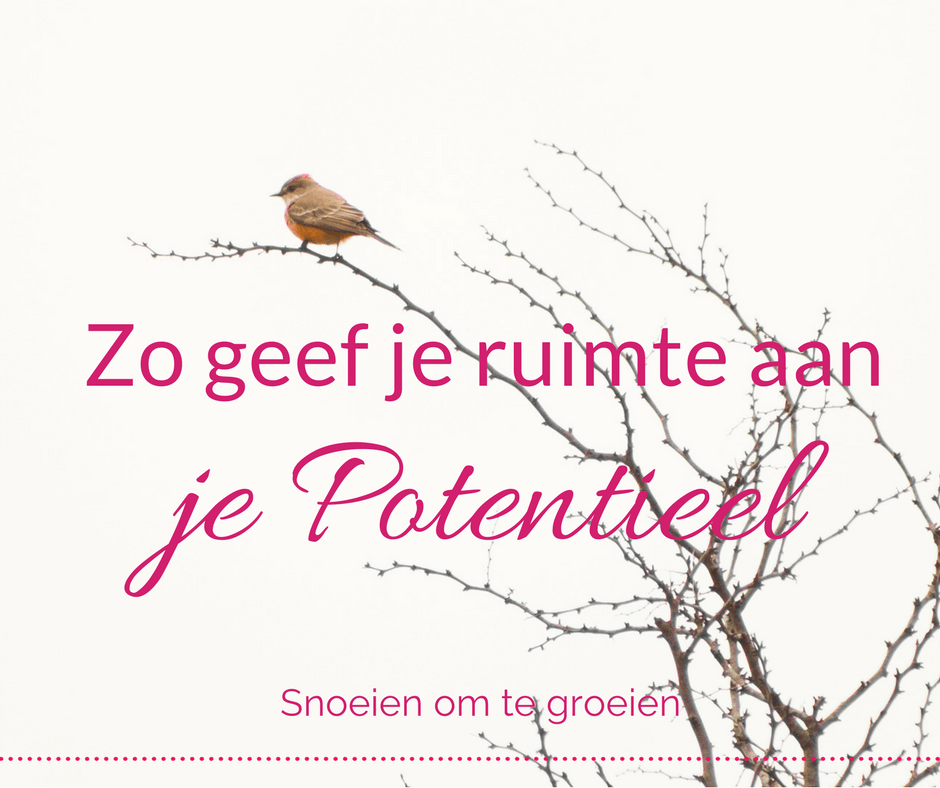 Ruimte geven aan je potentieel